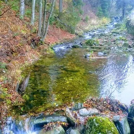 Petski ホテル Strážné