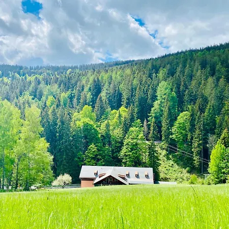 Hotel Petski 3*