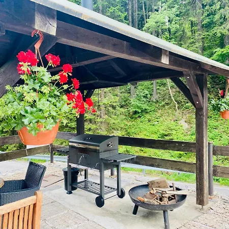 Hotel Petski 3*