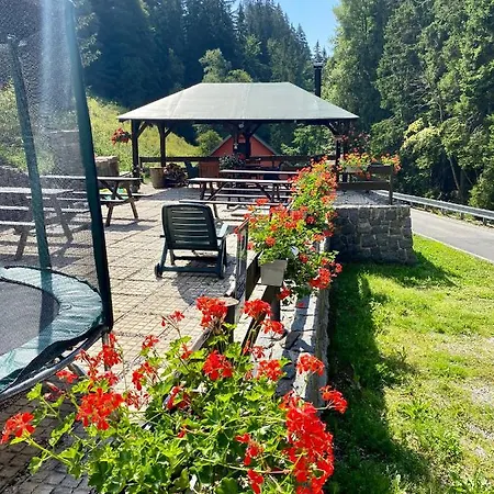 Hotel Petski Strážné
