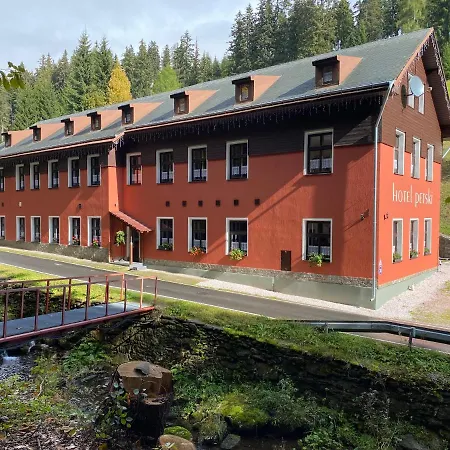 Petski Hotel