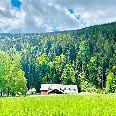 Petski 3*