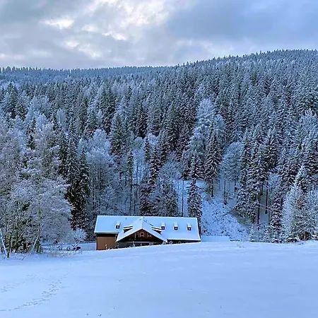Petski 3* Strážné